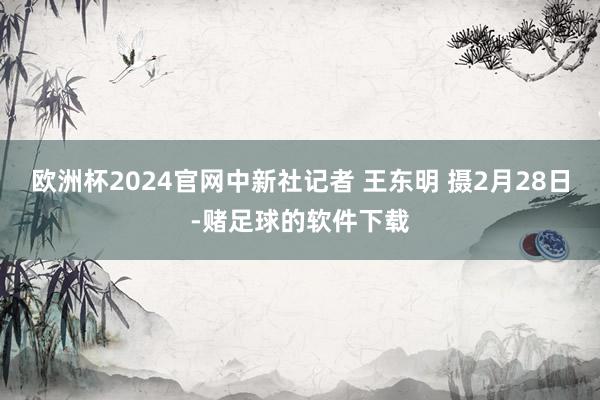 欧洲杯2024官网中新社记者 王东明 摄2月28日-赌足球的软件下载