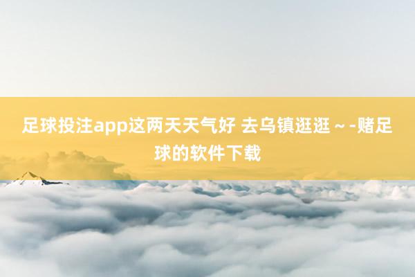 足球投注app这两天天气好 去乌镇逛逛～-赌足球的软件下载