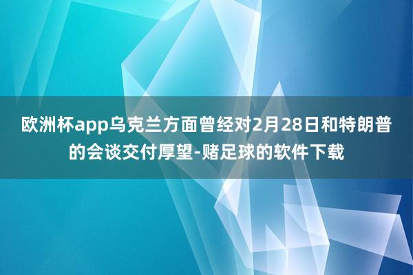 欧洲杯app乌克兰方面曾经对2月28日和特朗普的会谈交付厚望-赌足球的软件下载