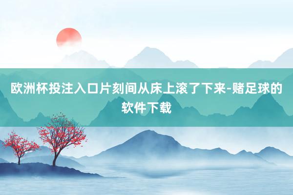 欧洲杯投注入口片刻间从床上滚了下来-赌足球的软件下载