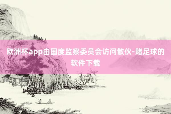 欧洲杯app由国度监察委员会访问散伙-赌足球的软件下载